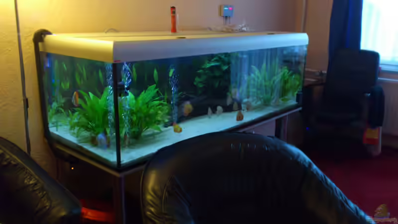 10.1.2013 von Cliff Lehmann (14)