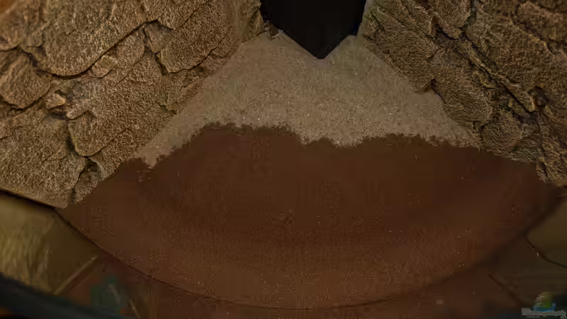 10.10.12 Dennerle Quarz Kies dunkel braun von Sven Seibert (4)