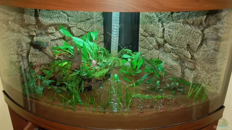 10.10.12 Fast fertig. Gleich kann das Wasser rein von Sven Seibert (11)