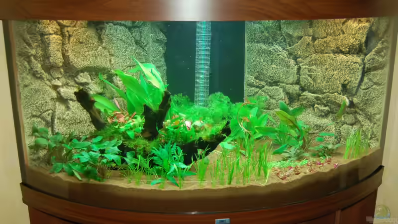 10.10.12 Fertig befüllt. Mit Blitz aufgenommen von Sven Seibert (14)