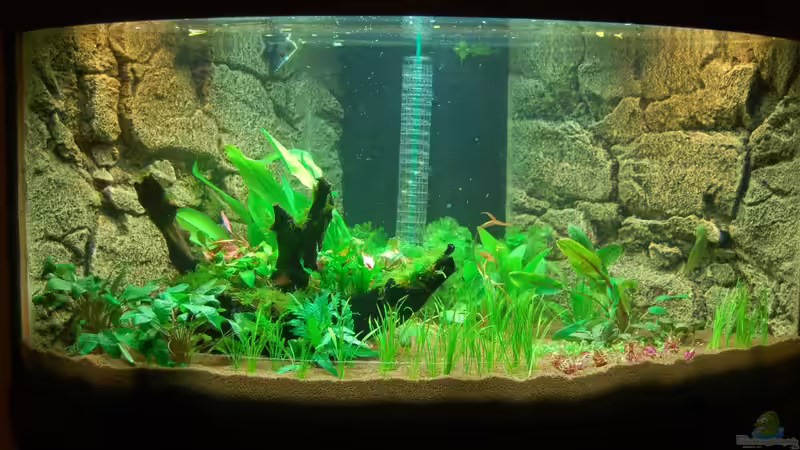 10.10.12 Fertig befüllt. Ohne Blitz aufgenommen von Sven Seibert (15)