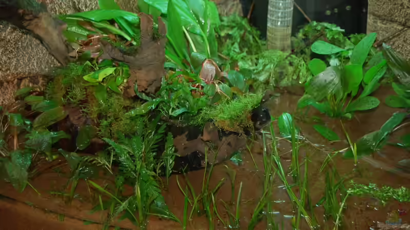 10.10.12 Nahaufnahme vor dem befüllen - linke Seite von Sven Seibert (12)