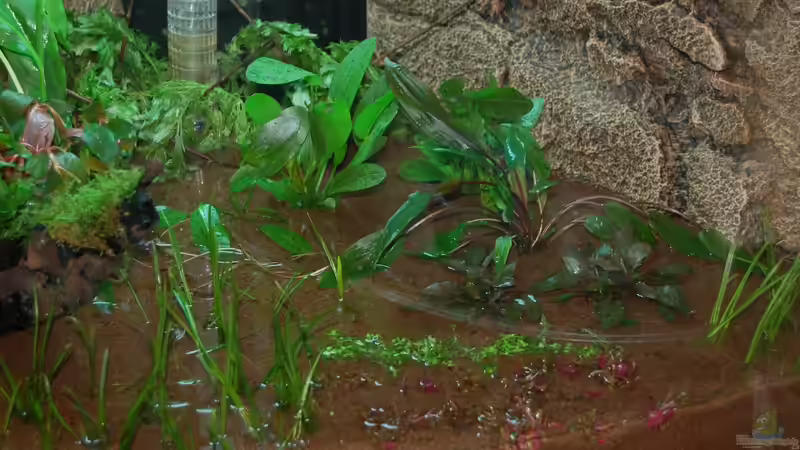 10.10.12 Nahaufnahme vor dem befüllen - rechte Seite von Sven Seibert (13)