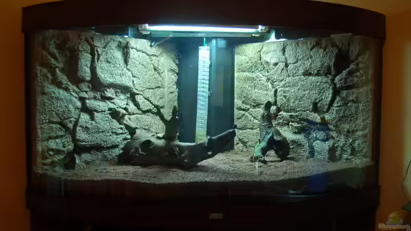 10.10.12 ´Rumprobieren´ mit den Wurzeln von Sven Seibert (6)