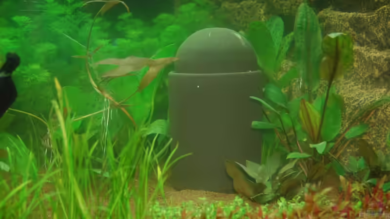 10.10.12 Zusätzliche Sauerstoffversorgung im Becken - Der Söchting Oxydator A von Sven Seibert (67)