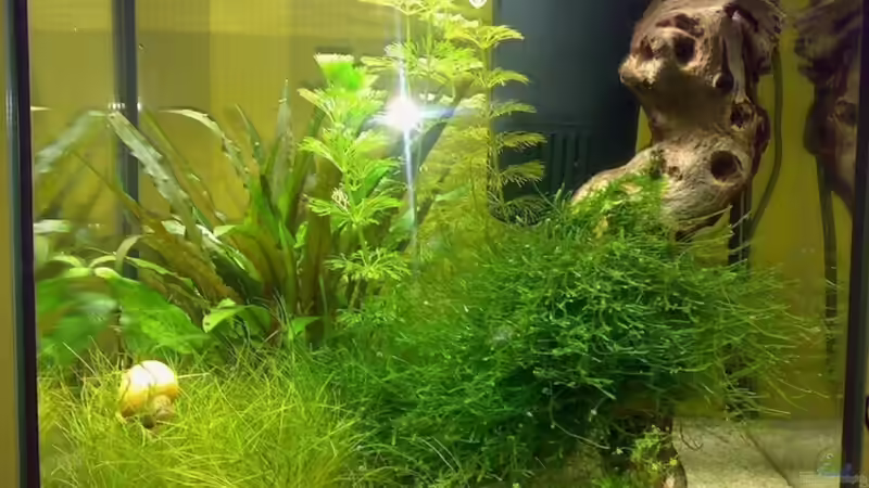 10.10.2008 von Thomas Höppner (1)