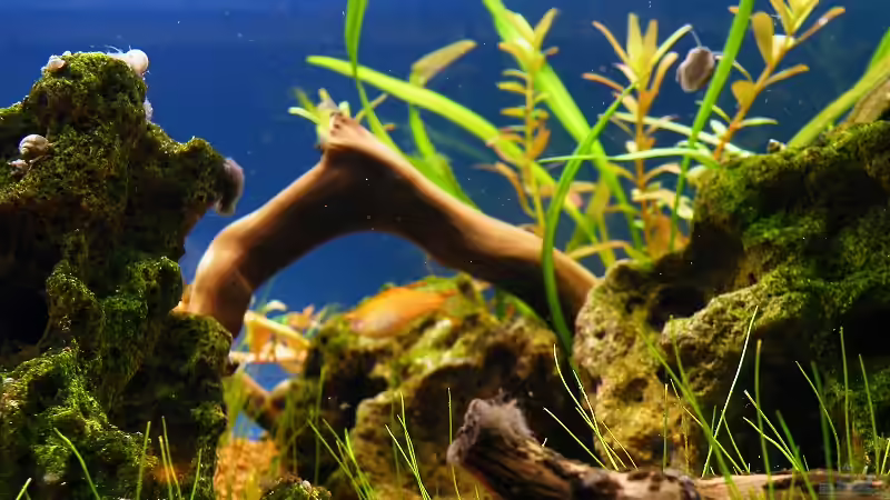 10.10.2010 - Gestein und Wurzeln von bergfrau (37)