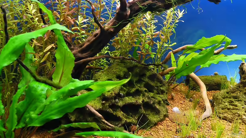 10.10.2010 - Linke Beckenseite von bergfrau (36)