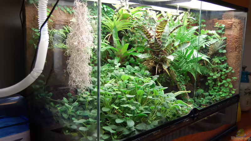 10.10.2013 von Junglist (41)