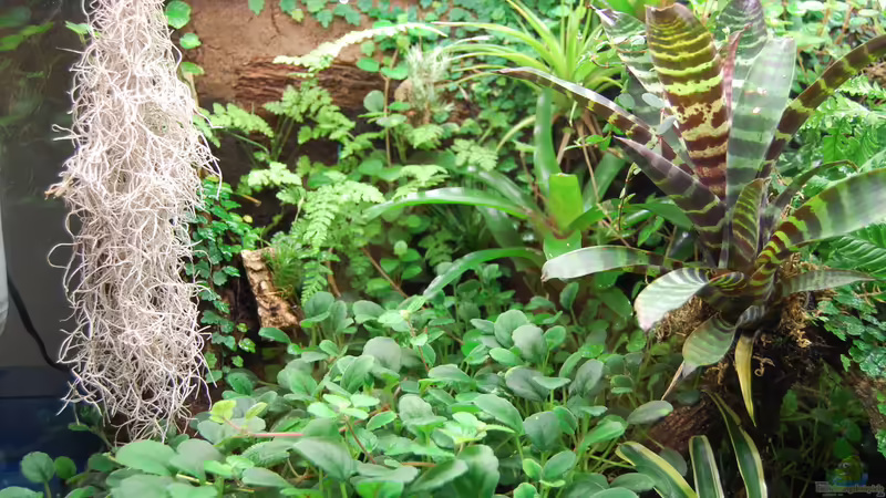 10.10.2013 von Junglist (42)