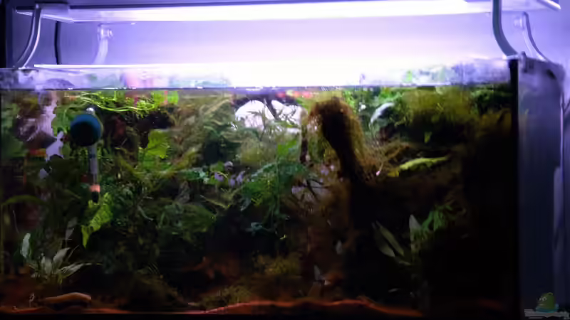 10.10.2016 von Dominik (3)