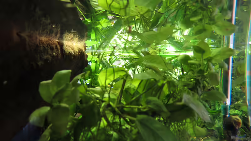 10.10.2017 Blick von Links von db (8)