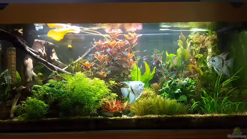 10.10.2018 von Mel (8)