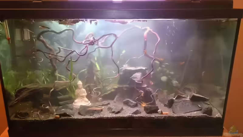 10.10 umgeräumt. .. von Miss Kasimir (5)