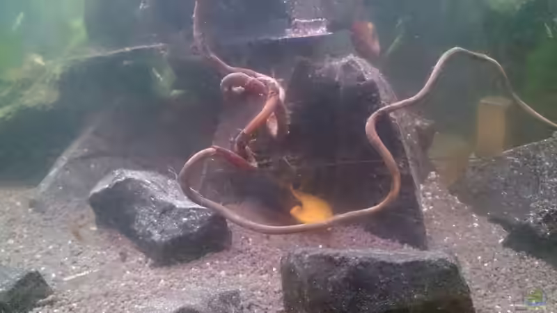 10.10 umgeräumt. .. von Miss Kasimir (6)