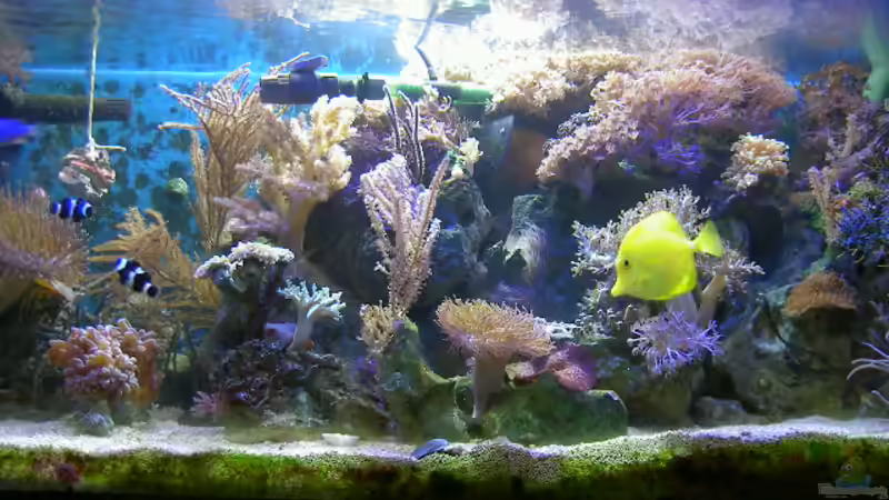 10.11.07 von Eva Göschl (6)