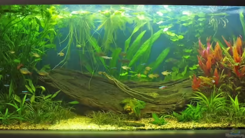 10.11.08 von smily (8)