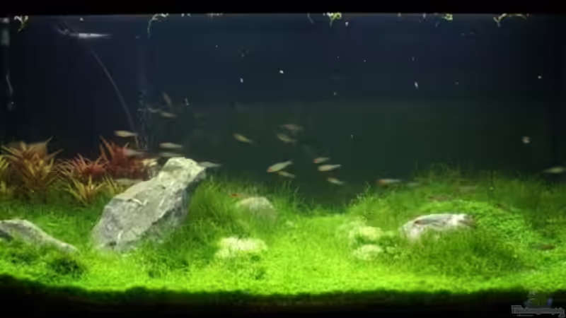 10.11.2007 Tag 74 10.11.2007 Tag 74