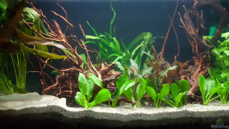 10.11.2009 von 77Markus (3)