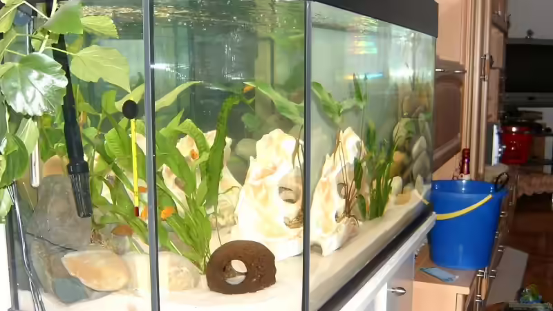 10.11.2009 von Kleene69 (8)