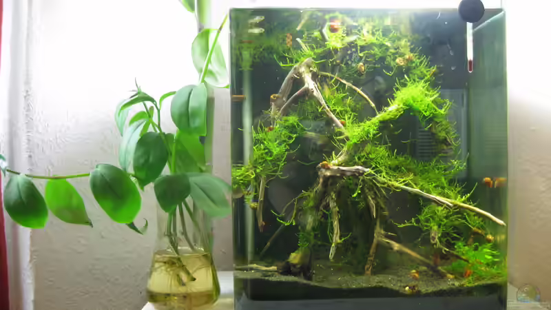 10.11.2011 von Nanu (6)