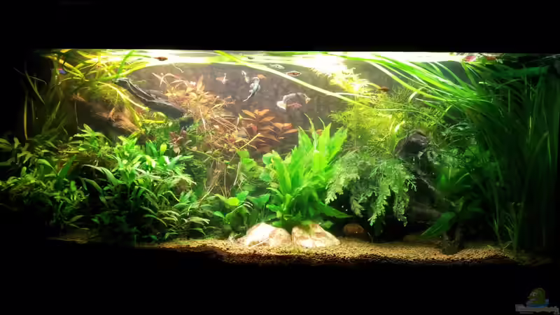 10.11.2012 von Ferbi (11)