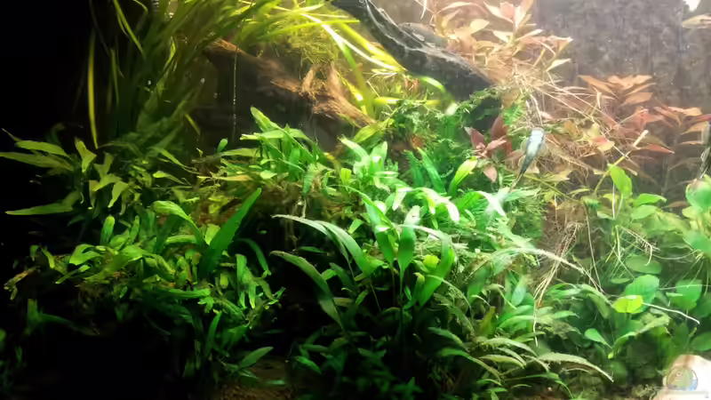 10.11.2012 von Ferbi (12)