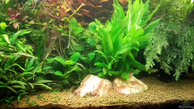 10.11.2012 von Ferbi (13)