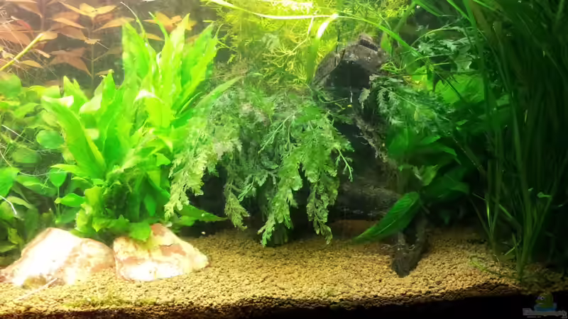 10.11.2012 von Ferbi (14)