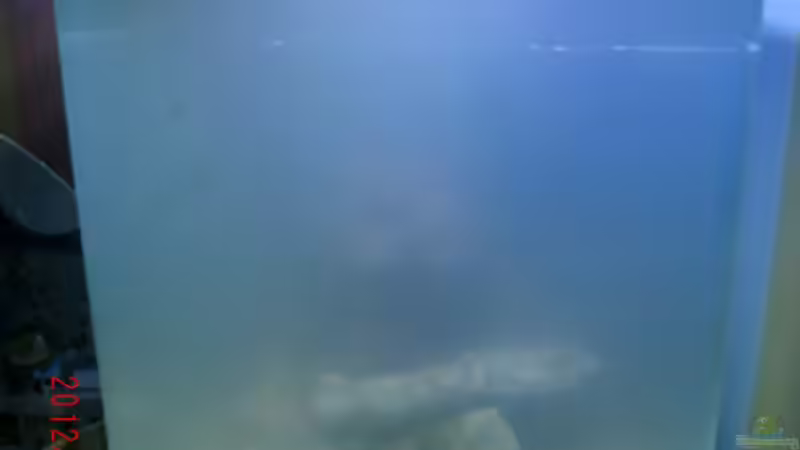 10.12.12 von Jademeister (3)