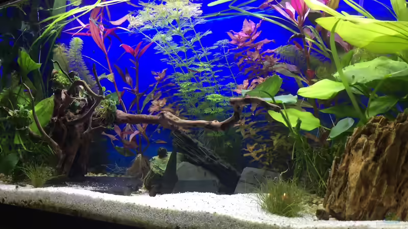 10.12.15 von .Andreas. (21)