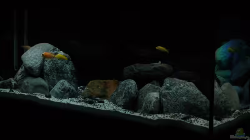 10.12.2013 von Found_Nemo