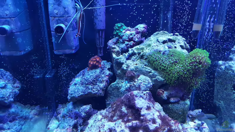 10.12.2015 von BenoN (5)