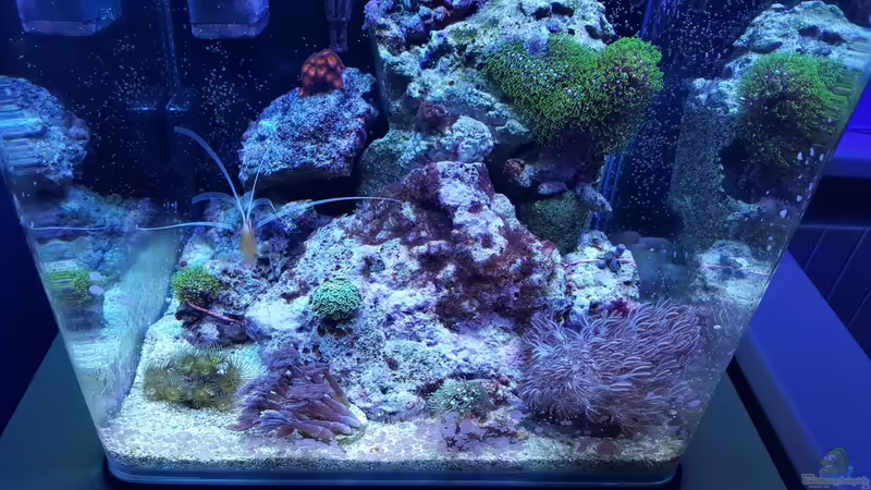 10.12.2015 von BenoN (6)