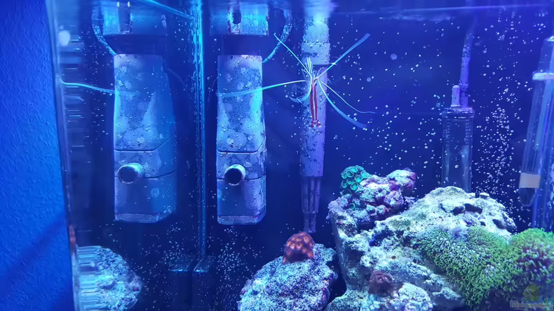 10.12.2015 von BenoN (7)