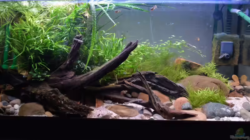 10.12.2016 von Dominik (9)