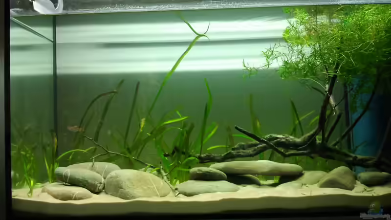 10_2012 Neueinrichtung von *fly_high* (7)