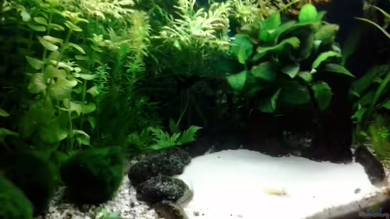 10/2013 von Jody Wynn (12)