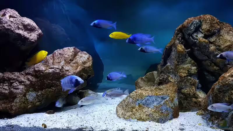 10/22 von Marita K. (8)