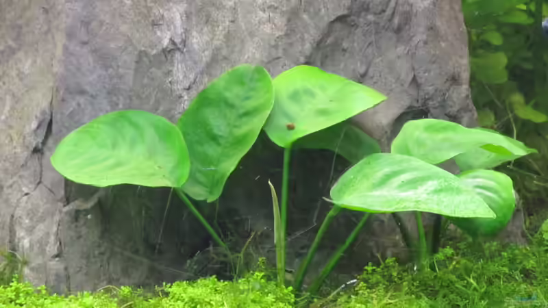 10.5.13 von Ralf28 (7)