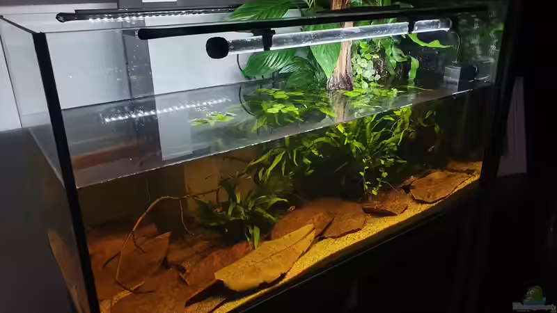 10.9.19 von Aqua fan (10)