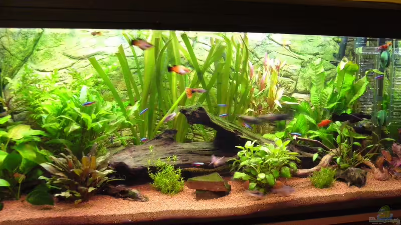 10.9.2010 von Michael Hermes (4)