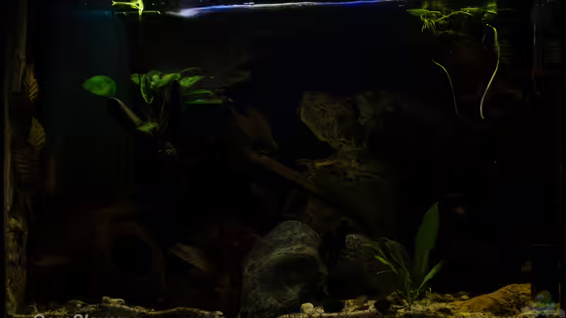 10% Beleuchtung von GoreSlayer (7)