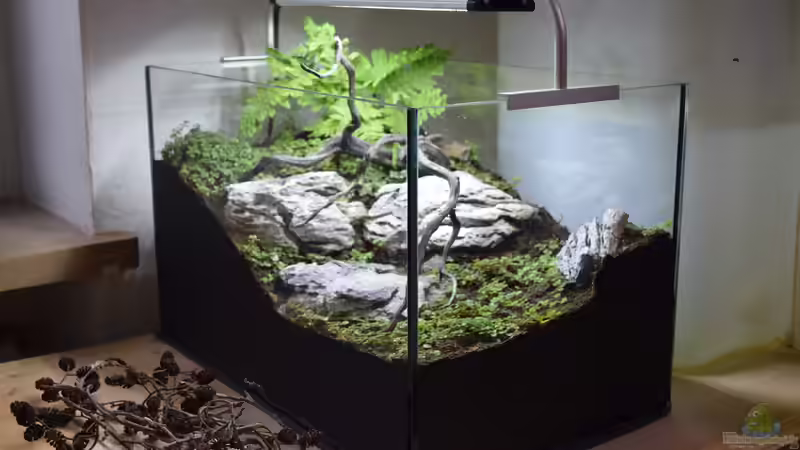 10 Dinge vor denen sich Terrarienbesitzer fürchten