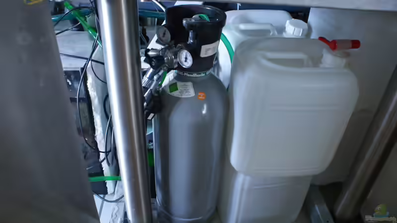 10 kg CO2 Flasche von Oliver Boden (46)