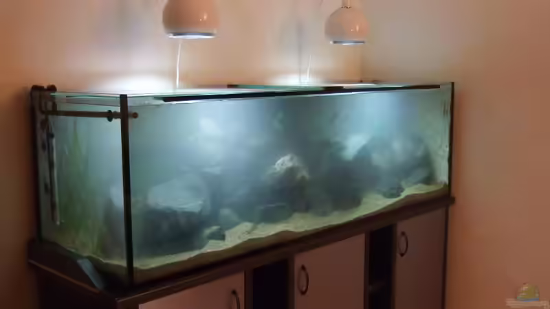 10 Min. nach Befüllung, noch trübe von Crenii (8)