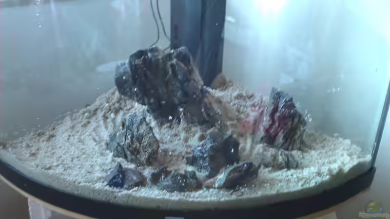 10 Natursteine, ca. 13 kg von Malphite (10)