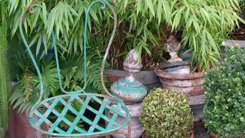 10 Tipps, um deinen Garten zu verschönern