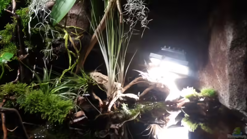 10 Watt Led warmweiss von Sebastian Müller (38)