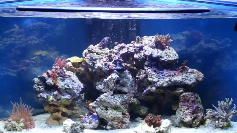 10.Woche mit neuem Besatz von Dirk Schäfer (14)